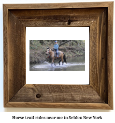 horse trail rides near me in Selden, New York